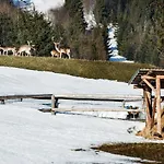 Safran Guest house