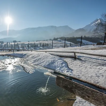 šafrán Vendégház